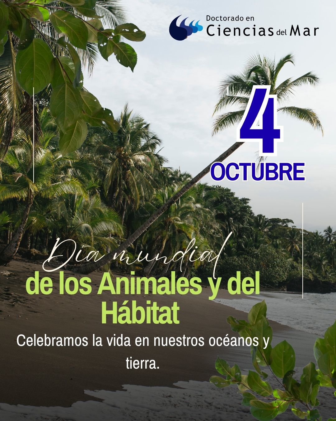 Biodiversidad: motor de innovación y sostenibilidad