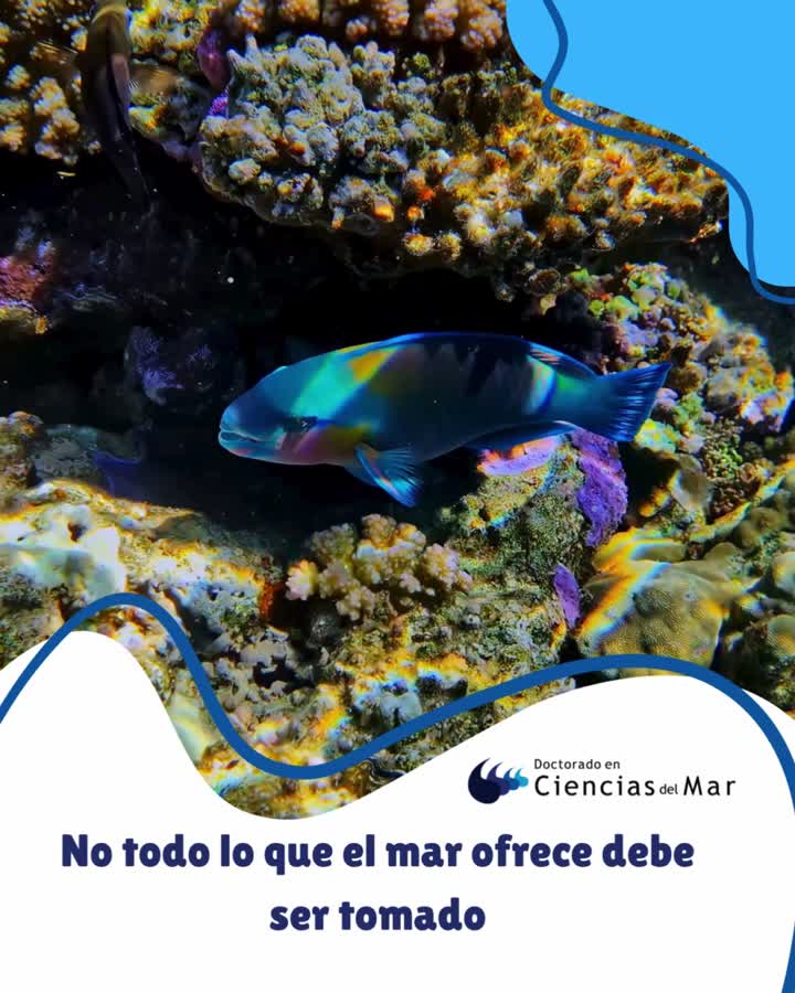 Uso sostenible de los recursos marinos: un enfoque científico desde Colombia